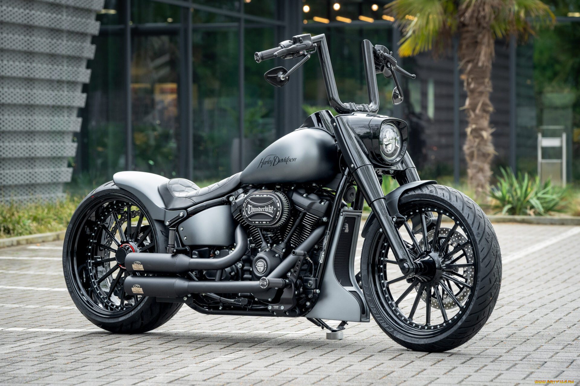 , harley-davidson, softail, fat, boy, silver, blast, customized, custombikes